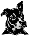 Onyx Dog